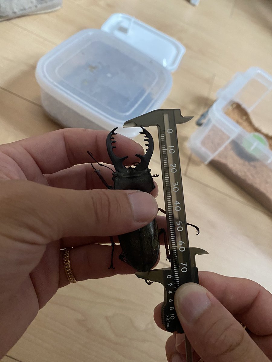 めっちゃ疲れてるのに
いまだに興奮して寝れない😳
昨日本当に行ってよかった😭