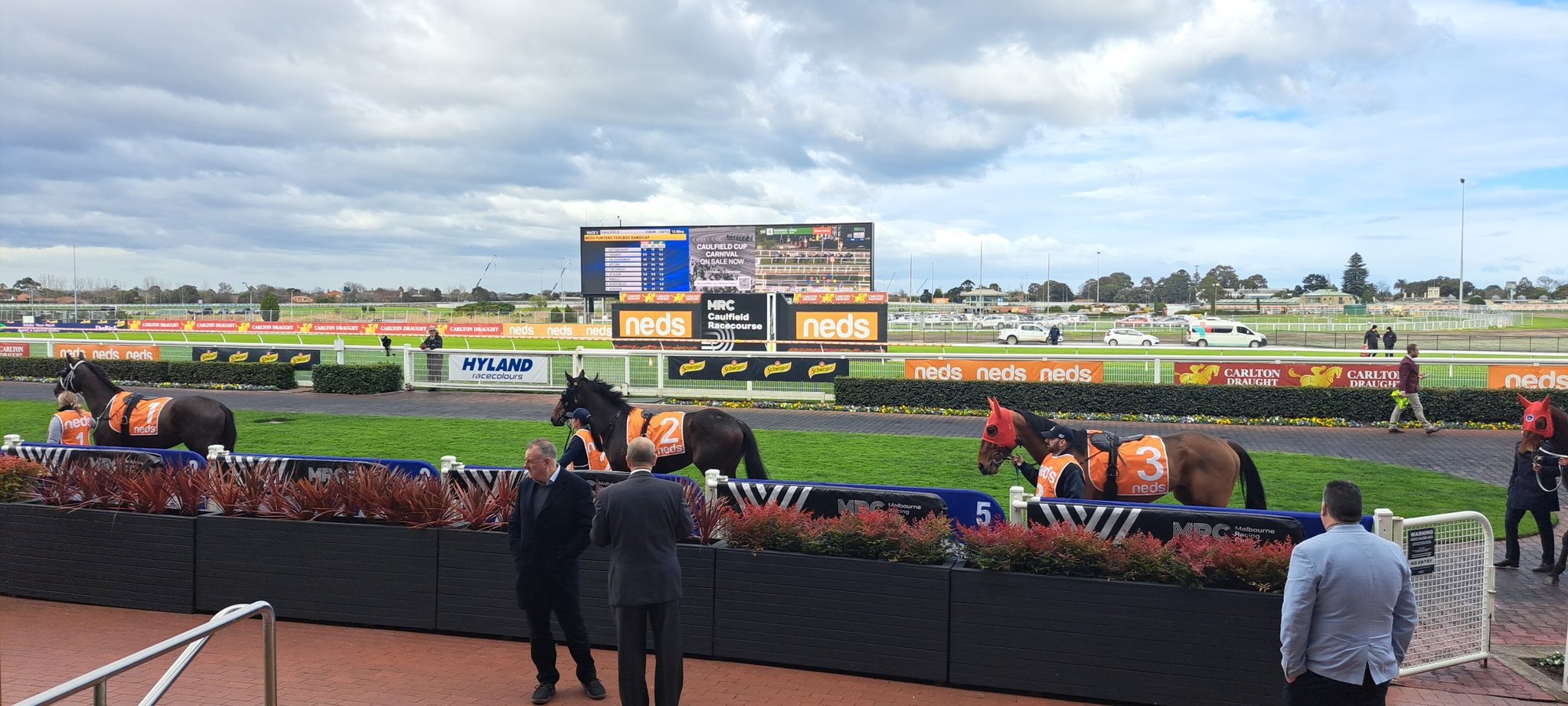 Peter McCormack on Twitter "Just commuted from Melb CBD Southern Cross station to Caulfield