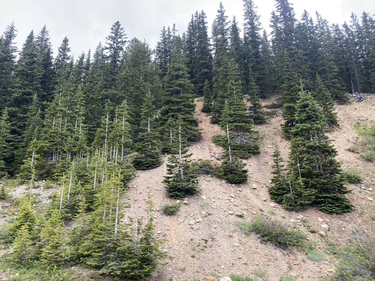 VizserkLive's tweet photo. Keystone CO. https://t.co/KpG5aJBB5F