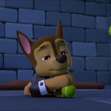 chasepuptastic's tweet photo. ⭐Daily Chase⭐

Oh great I'm stuck here with no way to call for help 

🐾Mission paw

#dailychasepost #PAWPatrol https://t.co/02BFiz2LpX