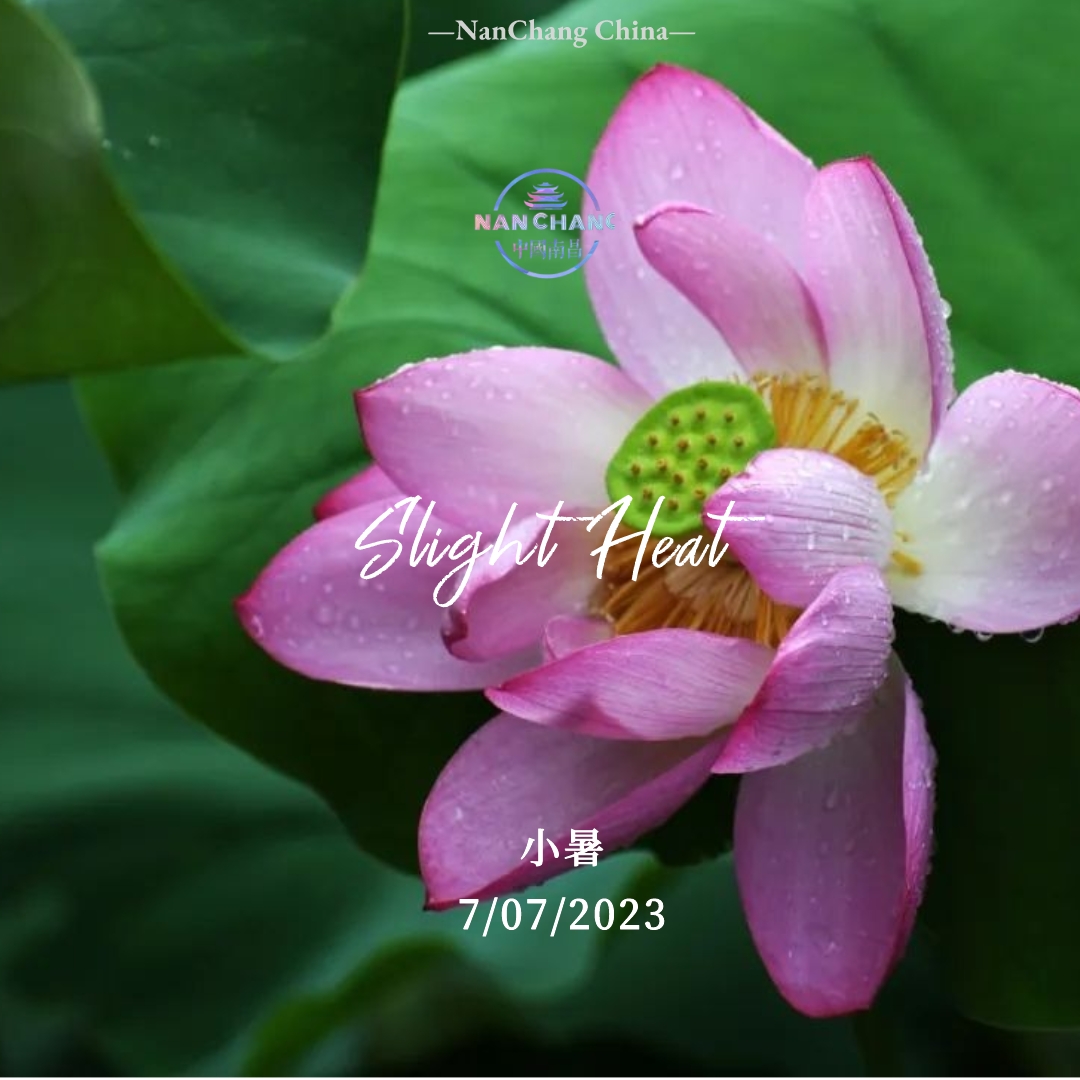 VisitNanchang's tweet photo. #SlightHeat is the fifth of the 24 solar terms in summer. Little Heat means that the weather is sweltering hot but not yet at its hottest. Parts of #China experience the most thunderstorms from this time of the year. The weather during this period of time is hot and rainy. People will feel humid and muggy, but this weather is perfect for growing crops. Please avoid heatwave and prevent from heatstroke.#LotusBloomsAcrossChina