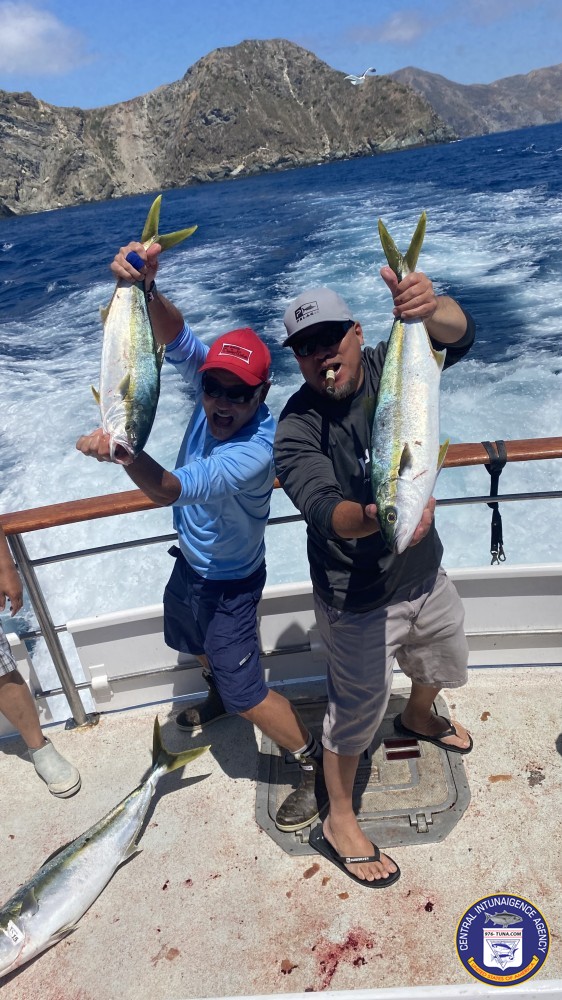 976tuna's tweet photo. Gail Force Good Times! https://t.co/59GkcCl9gx #gailforce #lawaterfrontsportfishing #yellowtail #fish #fishing #fishingtrip #oceanfishing #socalfishing #fishingtrip #goodtimes #livebait #saltlife #saltwater #tasty #thetugisthedrug #yellowtail #catalina #sanpedro https://t.co/INavJT63eS