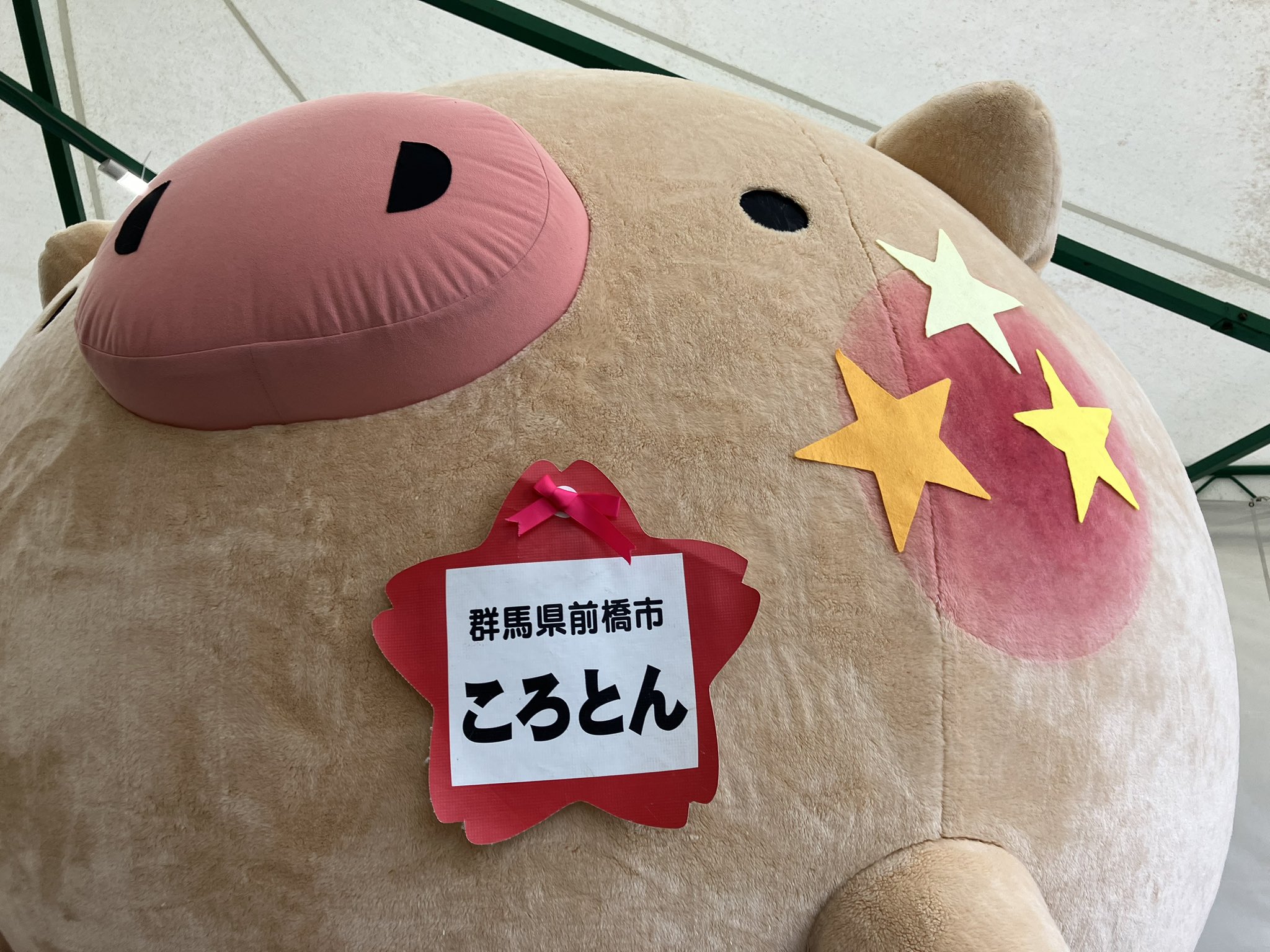 エアロビックとは
