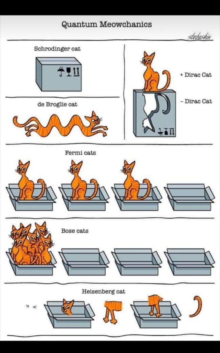 ranjangangopad2's tweet photo. WA foroward 🙂🙂🙂🙂🙂🙂
#physics #physicswallah #quantammechanics #schrodingercat #debroglie #fun #funphysics https://t.co/BvwdjIUmJX