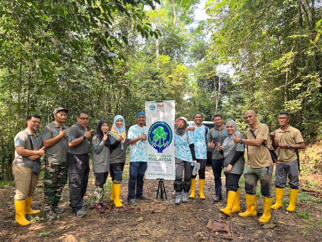 FRIMKepong's tweet photo. Petroliam Nasional Bhd (@Petronas) tanam 80 pokok di @FRIMKepong pd 24/6/23, sambut #HariAlamSekitarSedunia &amp; sokong Kempen Penanaman @100JutaPokok 

#PokokKitaKehidupanKita #OurTreesOurLife #FRIMTanamPokok #TreePlantingFRIM #WorldEnvironmentDay #WED2023 https://t.co/JfB0O9bSbA