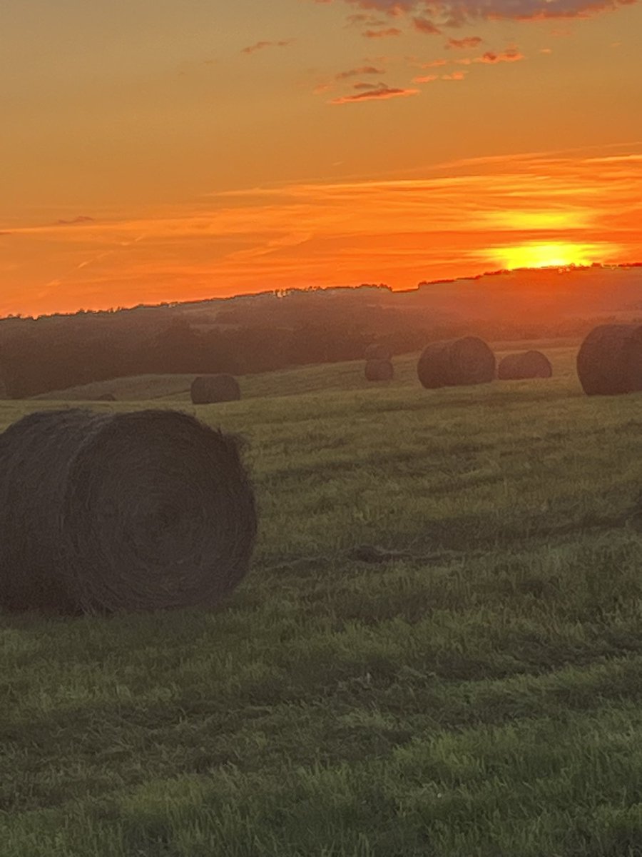 Bruce Curle tweet media