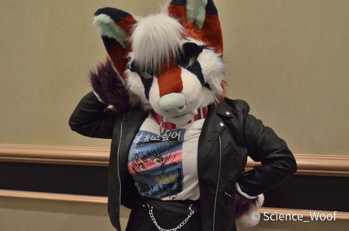 MissRubyOcean's tweet photo. Late night #FursuitFriday 😏

📸: @Science_Woof https://t.co/indzjr8q0v