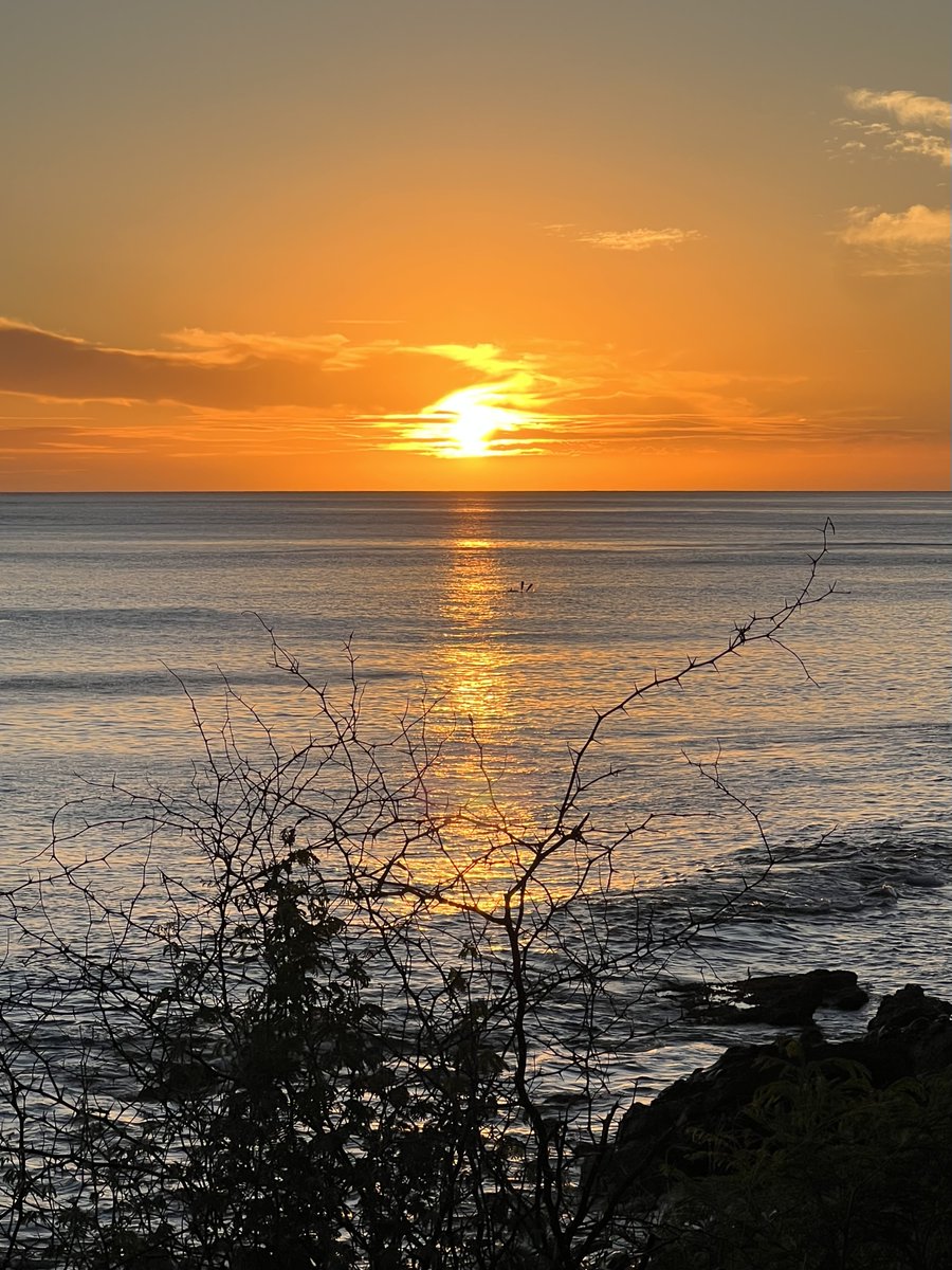 Happy Aloha Friday! Say goodbye to the week and hello to a relaxing weekend with a beautiful sunset!

#alohafriday #sunset #hawaii #ocean #beach #oahu #revolusun