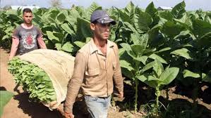 El Buró Político del <a href="/PartidoPCC/">Partido Comunista de Cuba</a> felicitó especialmente al pueblo de #Cuba 🇨🇺 por el 26/7 y expresó "su más profundo reconocimiento por los extraordinarios ejemplos de entrega y compromiso con la Patria frente a las complejas circunstancias que afronta el país".
#70Moncada