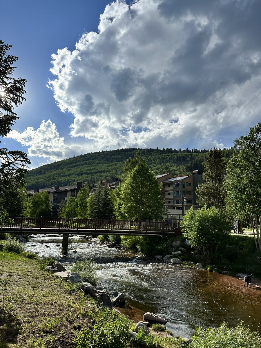 Olivia C. Ghirardelli Smith tweet media