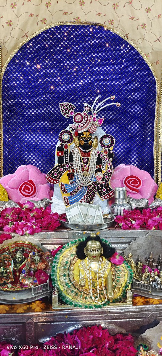 श्री सांवलिया सेठ की जय (आज के दर्शन) 08 जुलाई