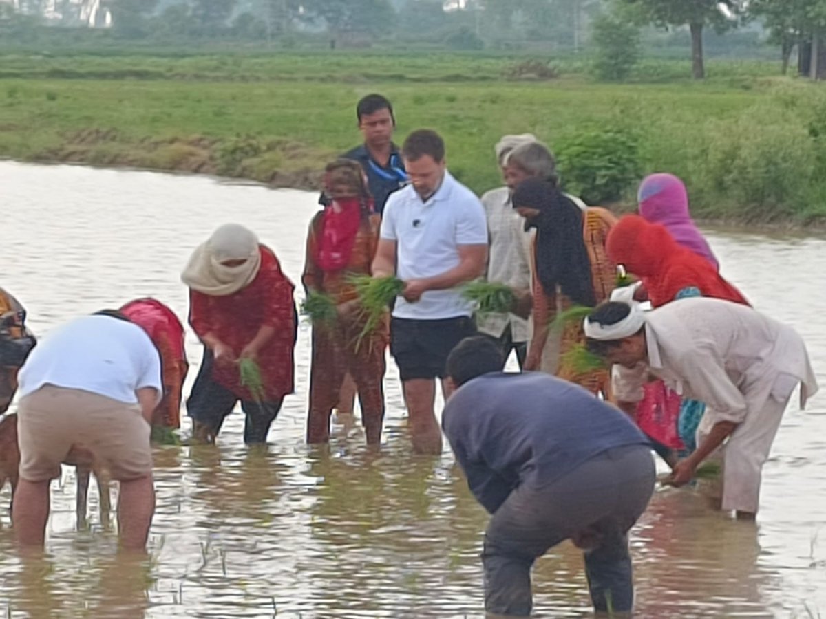 किसान...
#NoFarmerNoFood 
@RahulGandhi