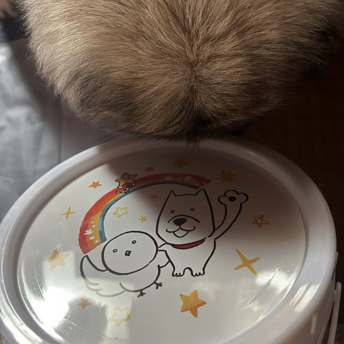 ten1003lemon's tweet photo. 株式会社わんわんさんから
てんちゃんにお荷物が⁉️

言葉のわかるテン様は
��てんちゃんに荷物がきたよ-!!」の
言葉に大興奮😂💦

15時になったらあげるからね☺️💕

#wanwantyoiage 
#株式会社わんわん
#チョイあげ https://t.co/DeFV4bOLJo