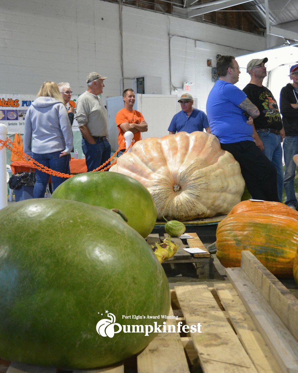 Port Elgin Pumpkinfest tweet media