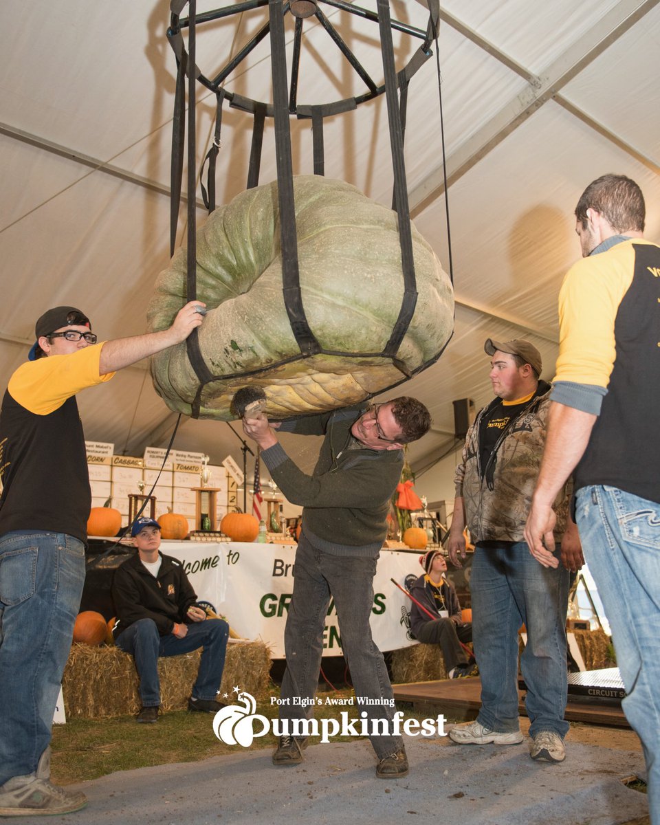 Port Elgin Pumpkinfest tweet media