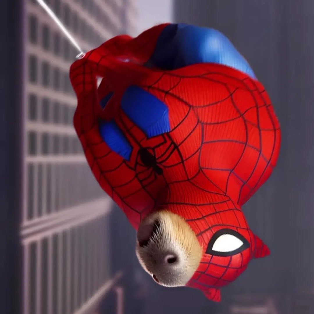 capybara_lover2's tweet photo. Spiderbara https://t.co/92QufcIrEb