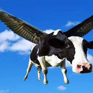 cowlovers4's tweet photo. https://t.co/XqHSuO0q0o