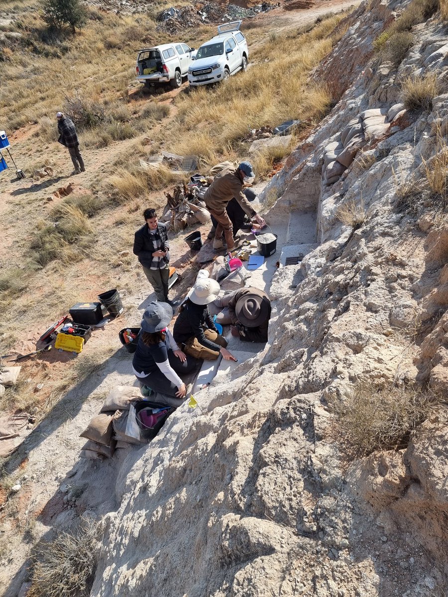 Trowels in the ground, we are back at #witberg excavating early #msa and lower artefacts we haven't sampled yet but are in the quarry profile. Excited to finally see what they look like!