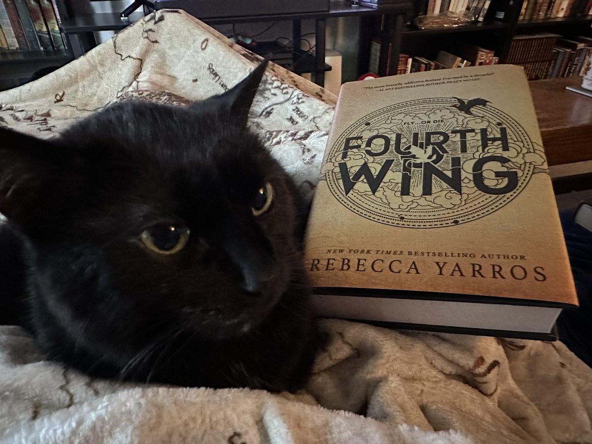 Got a new book, and a cat who’s sick of my shit.