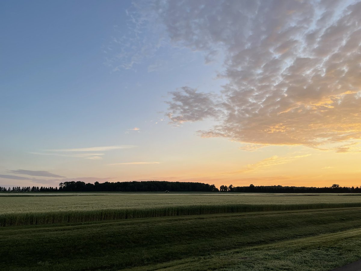 Sarah Starratt tweet media