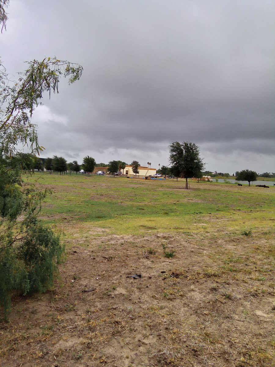 RogerGonzoCom's tweet image. The Construction Crew next door has the music turned up loud! #FridayIt! Music from: @the_palava @SweetLizzyProj @WillieNelson @Huck2band @beckblackrocket @PeterandElla @SteveSavonayeah @TheWarningBand2 &amp;amp; @Fractur04546951! Music Motivates!