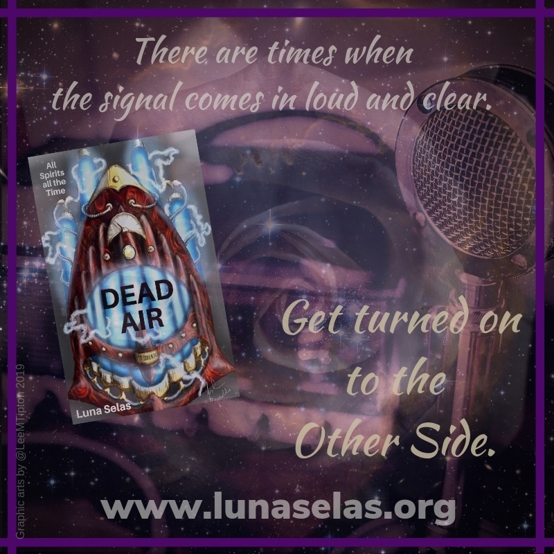 When Max and Jeremy buy an antique radio, they get more than just a conversation piece. On talk show Second Chance, fans can finally make peace--with the dead. tinyurl.com/yyv8b5tk #LGBTQ #UrbanFantasy #Supernatural #WolfPackAuthors