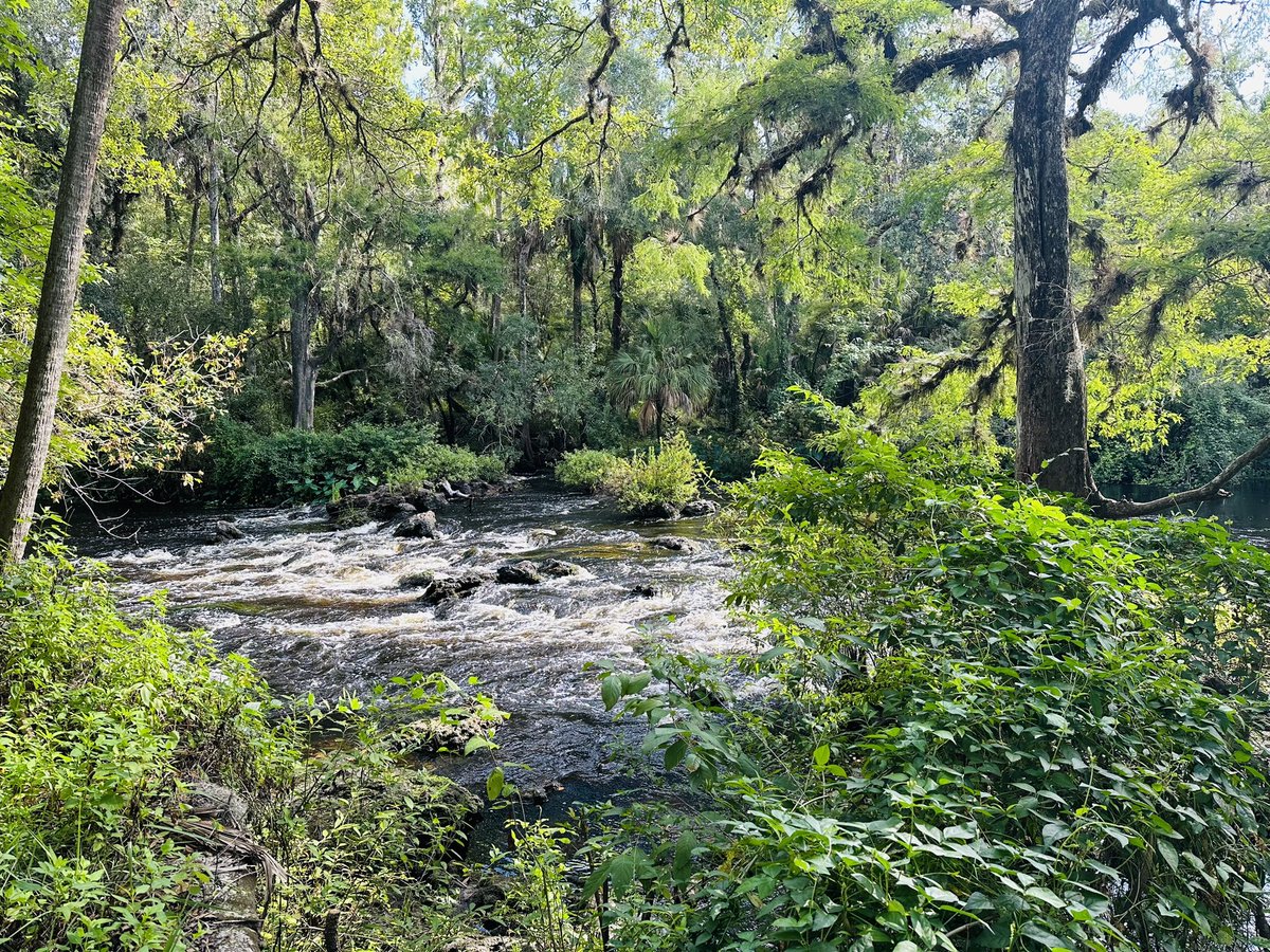 Barb_Whit3's tweet photo. Short hike #SummerFun #DayTrip https://t.co/nDDef3usWa