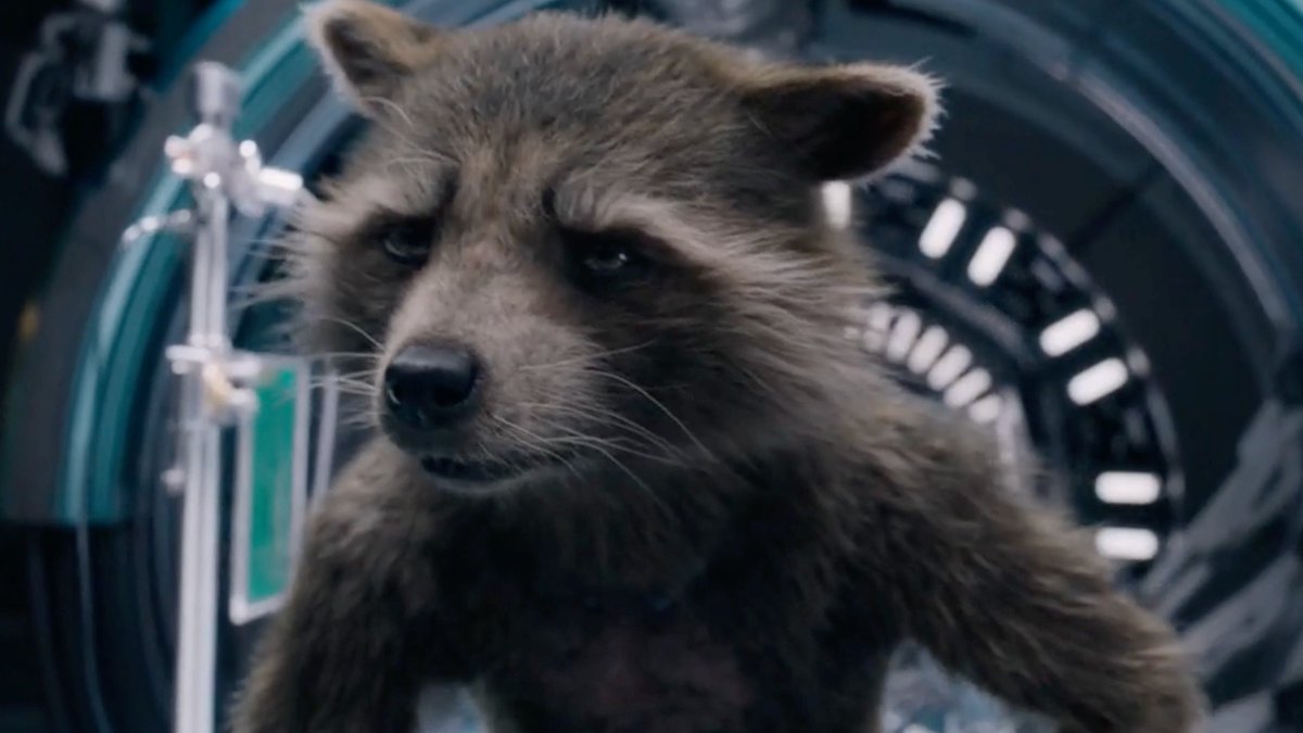 CaptainRocketR's tweet image. "Rocket?"
"Yeah, he's here. And he's okay"