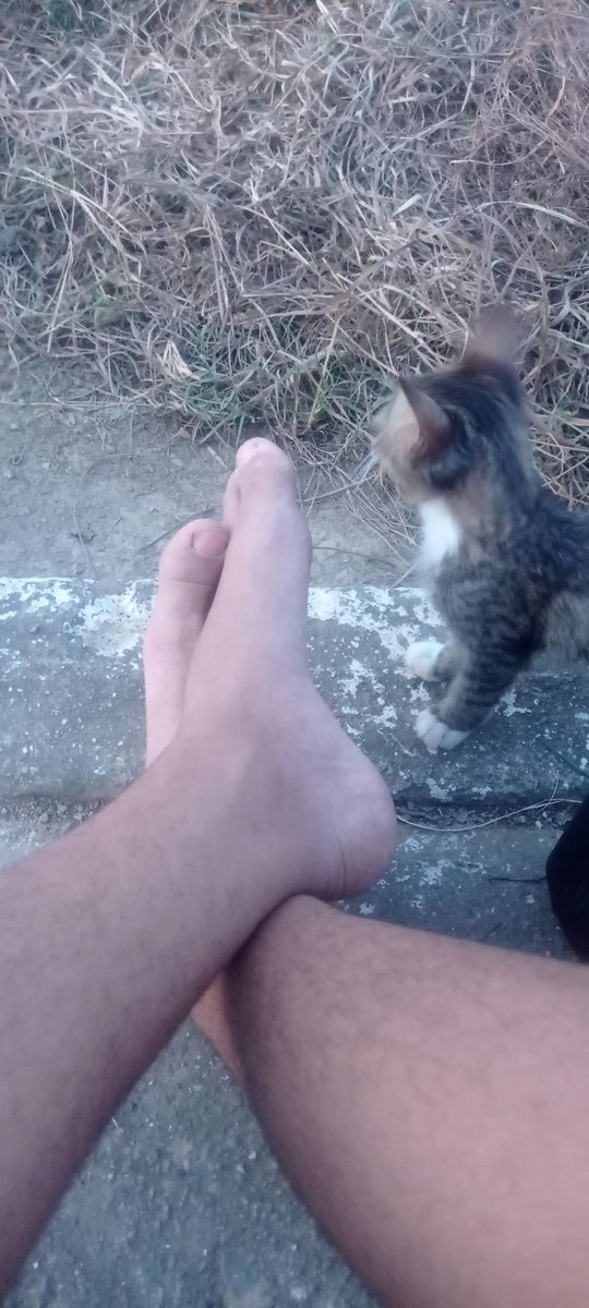 Yes slave
