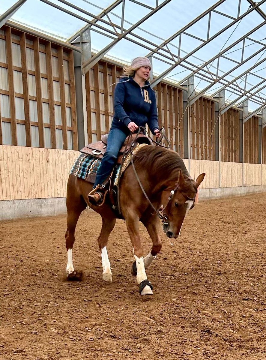 HorseLogs tweet picture