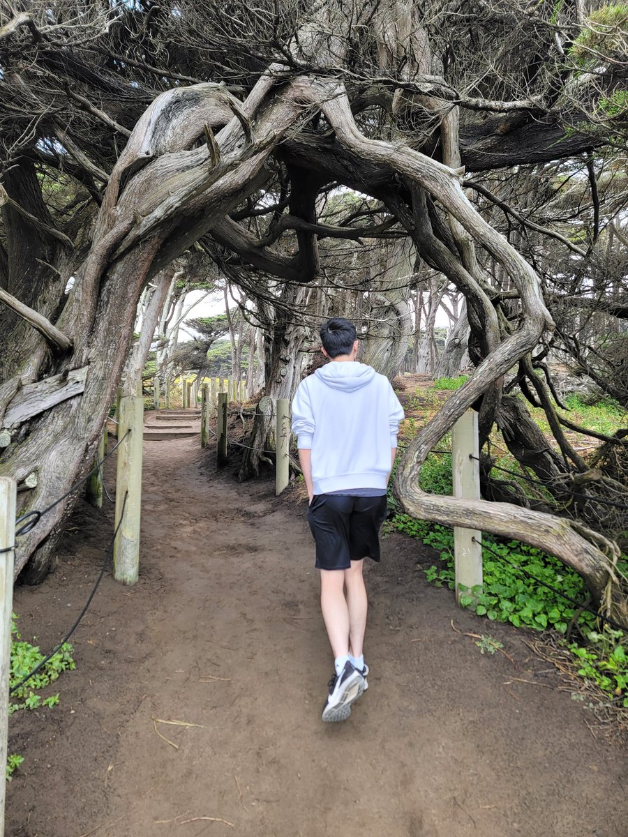Lina (@0o_lena_o0) on Twitter photo I flew all the way to San Francisco just to face reveal to <a href="/KevinL_267/">Kevin.267</a> 🥰 I flew all the way to San Francisco just to face reveal to <a href="/KevinL_267/">Kevin.267</a> 🥰