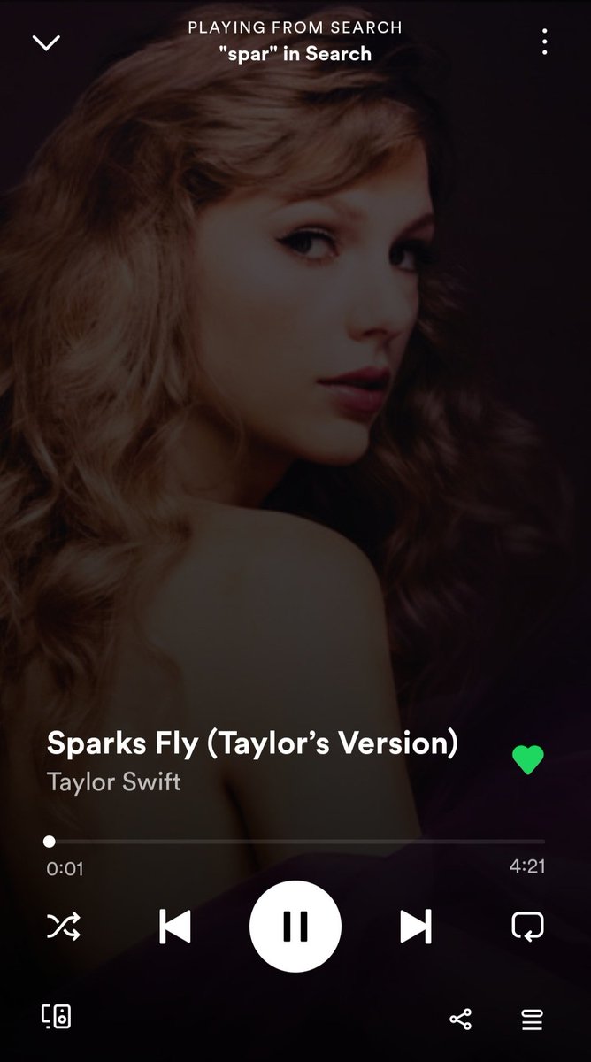 I love #SpeakNowTaylorsVersion  but argue with the wall on this one