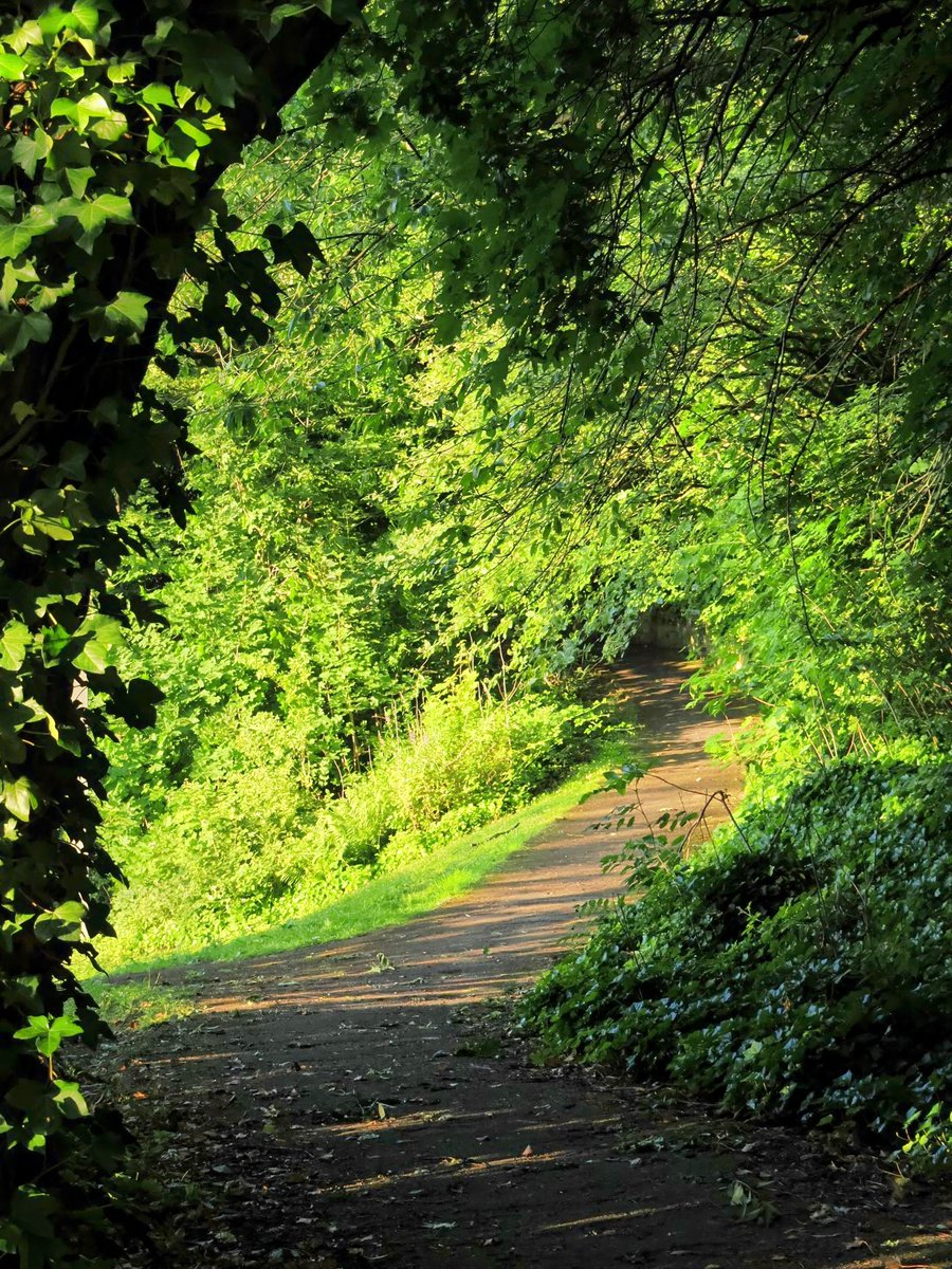 pewileman's tweet photo. 'Gannin yem' through the #RabbitBanksWood arches after a meander along #GatesheadRiversidePark
@moorviewgm @czykjo @NorthEastTweets @JohnLalitav @sjgiardini @DaveGreen1963 @Mlifephoto #RiverTyne @Meri93019495 https://t.co/dtTD7H9IU0