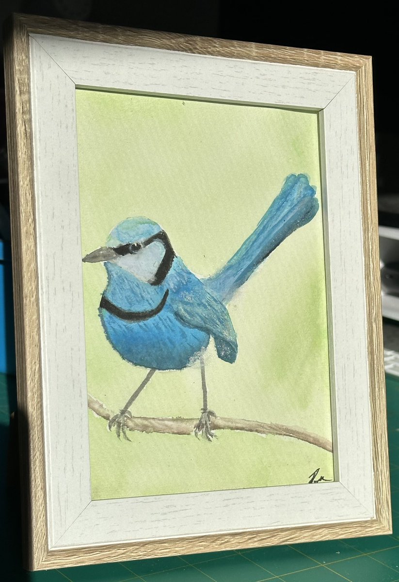 ‘Blue Wren’ my latest watercolor painting