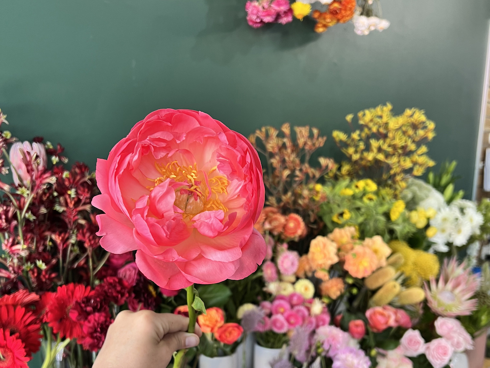 {BUSINESS FOR SALE} Florist and Gift Store – Newcastle, NSW 

To find out more, visit ow.ly/ZFOs50P328f

#retailbusiness #florist #NewCastle #coasttocoast #sell #business #buybusines