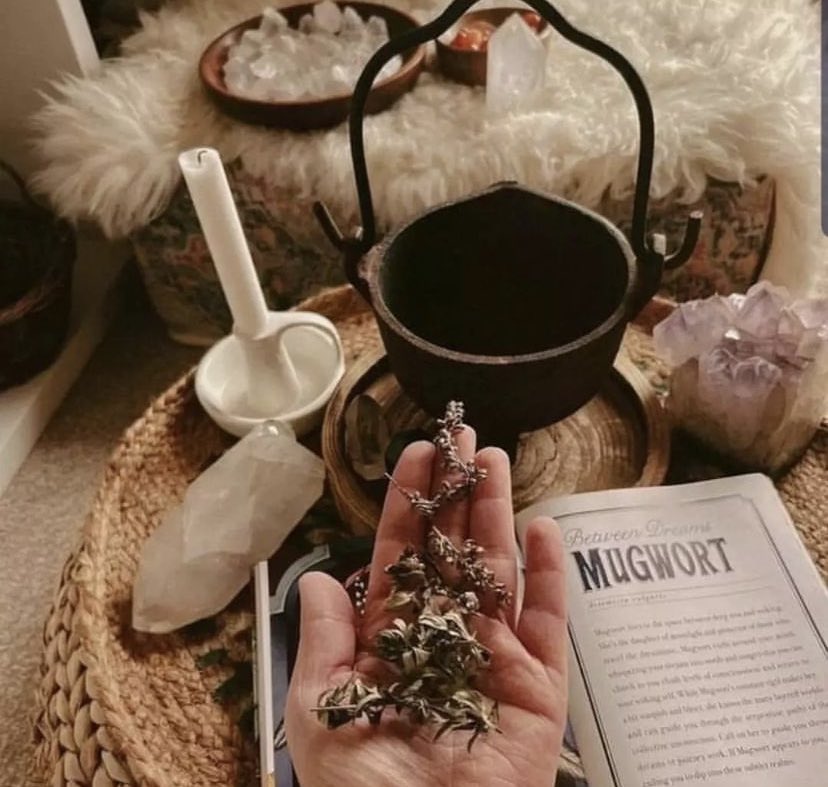 Pick a Set of 🃏 gird
* Esoteries 🎴