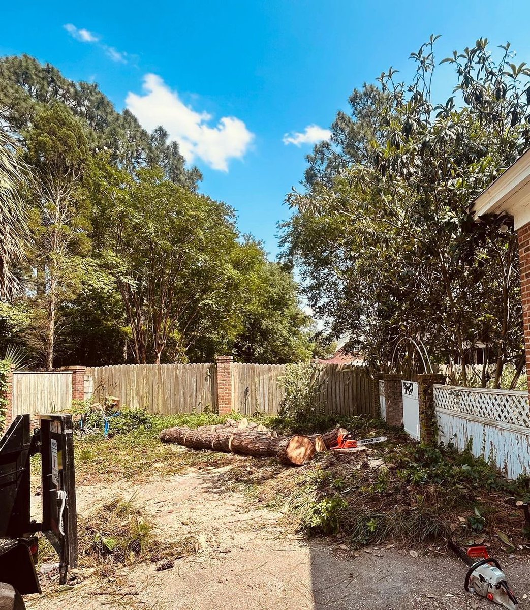 baileysonline's tweet photo. #Repost from @allamericantreejects
.
Before and after removal of a pine with limbs reaching well over a house and fence.
@baileysonline #tree #treeservice #treework #treecompany #treeclimber #bluecollar #ropeaccess #letitrun #echousa #stihl #courant #dmm #petzl https://t.co/G9IXBwJ0YZ