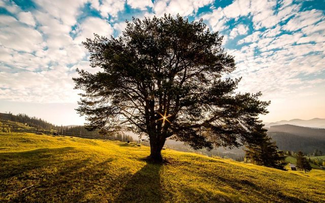 entreperiodista's tweet photo. 5 consejos prácticos para fotografía en exteriores: https://t.co/JJVGmzNyrp ¡Aprovecha las ventajas que te brinda la luz natural, el entorno y la composición! 😉 👌 📸  #fotografía #fotógrafos #comunicación #periodismo #fotografia https://t.co/IJSEp5s4Am