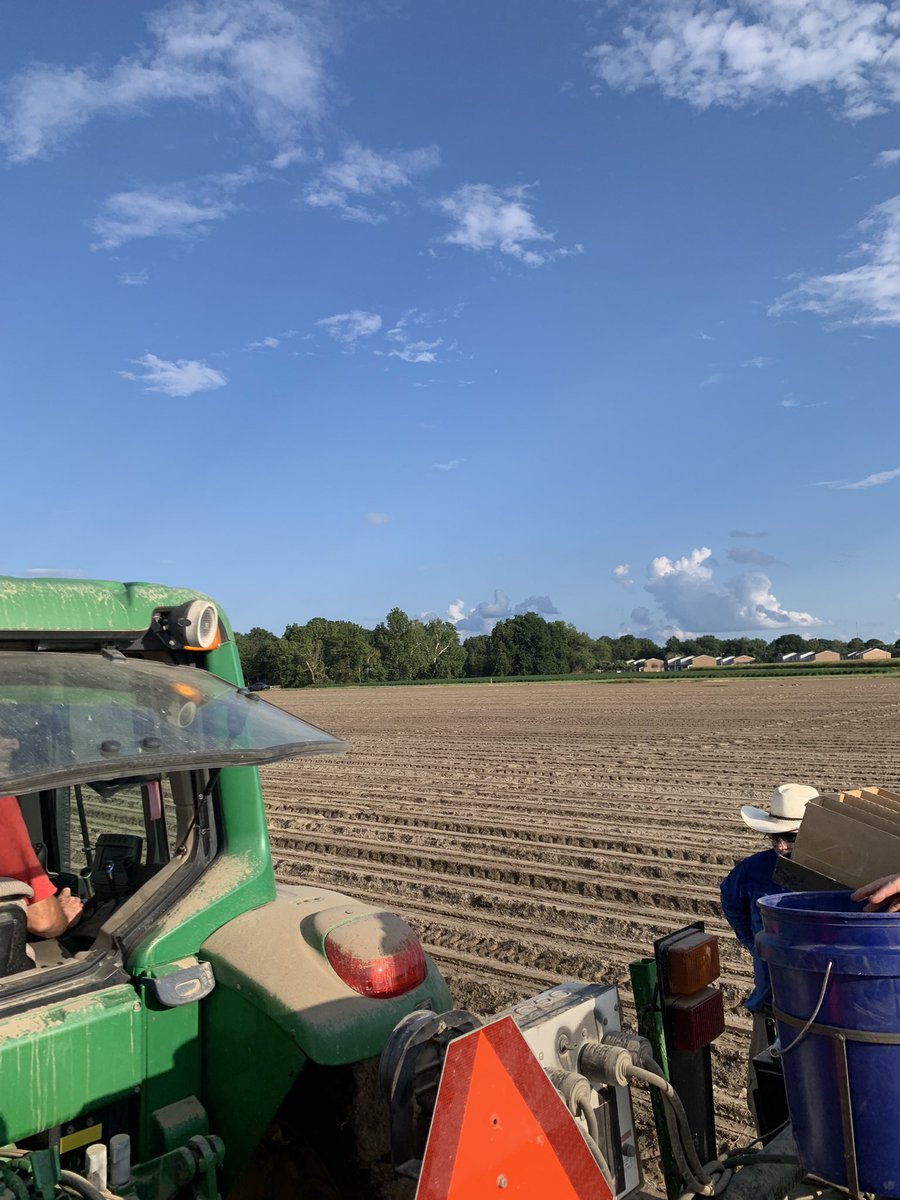 Michael Huoni (@jmhuoni) on Twitter photo Last soybean trial of the year is in the dirt at <a href="/onlyatDREC/">Delta Research & Extension Center</a> !
<a href="/TylerBTowles/">Tyler Towles</a> <a href="/DonCook6/">Don Cook</a> <a href="/RiceWeevils/">Caleb Rice</a> Last soybean trial of the year is in the dirt at <a href="/onlyatDREC/">Delta Research & Extension Center</a> !
<a href="/TylerBTowles/">Tyler Towles</a> <a href="/DonCook6/">Don Cook</a> <a href="/RiceWeevils/">Caleb Rice</a>