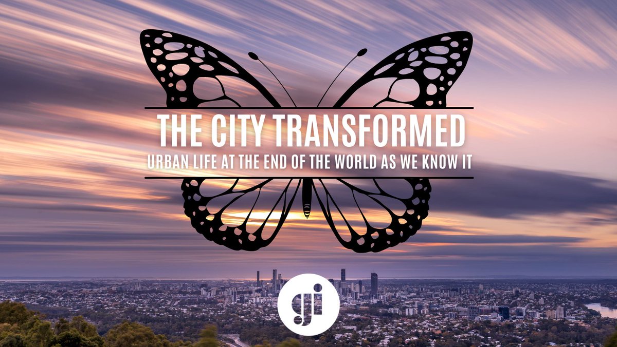 timhollo.bsky.social tweet media