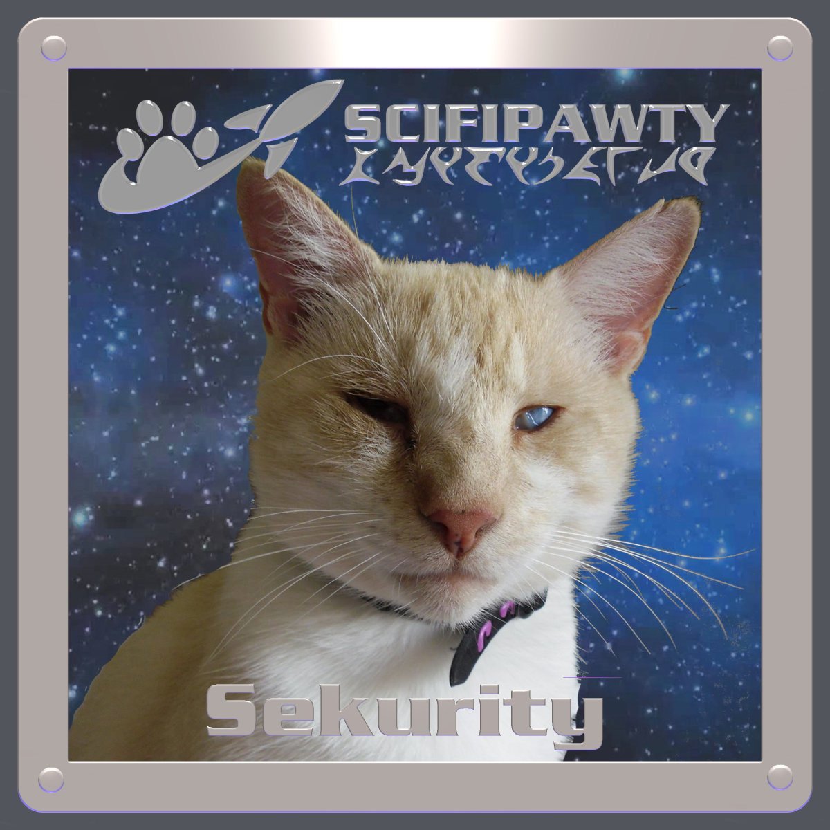 HarveyButtonNZ's tweet photo. @HealingPurrsPaw One of our favourite pictures of @DashKitten who loved being part of @BorisKitty #SciFiPawty in those happy times. #HealingPurrsPawty https://t.co/9fIbEohJZH