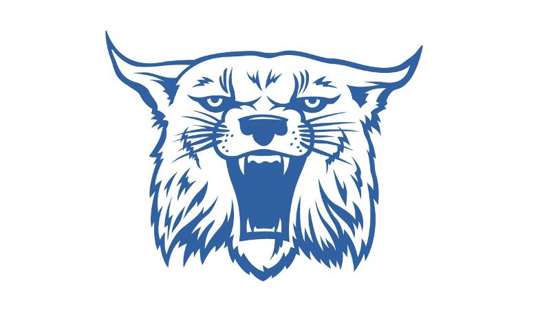 BenchmarkCats's tweet photo. We will be posting tryout dates for our 2029 &amp; 2026 Off Season National Teams in the next 2 weeks - stay tuned! Tournament schedule will follow soon after!

#benchmarkbaseballclub #benchmarkbaseball #benchmarkcats #gocats https://t.co/wtKS0EVTKd
