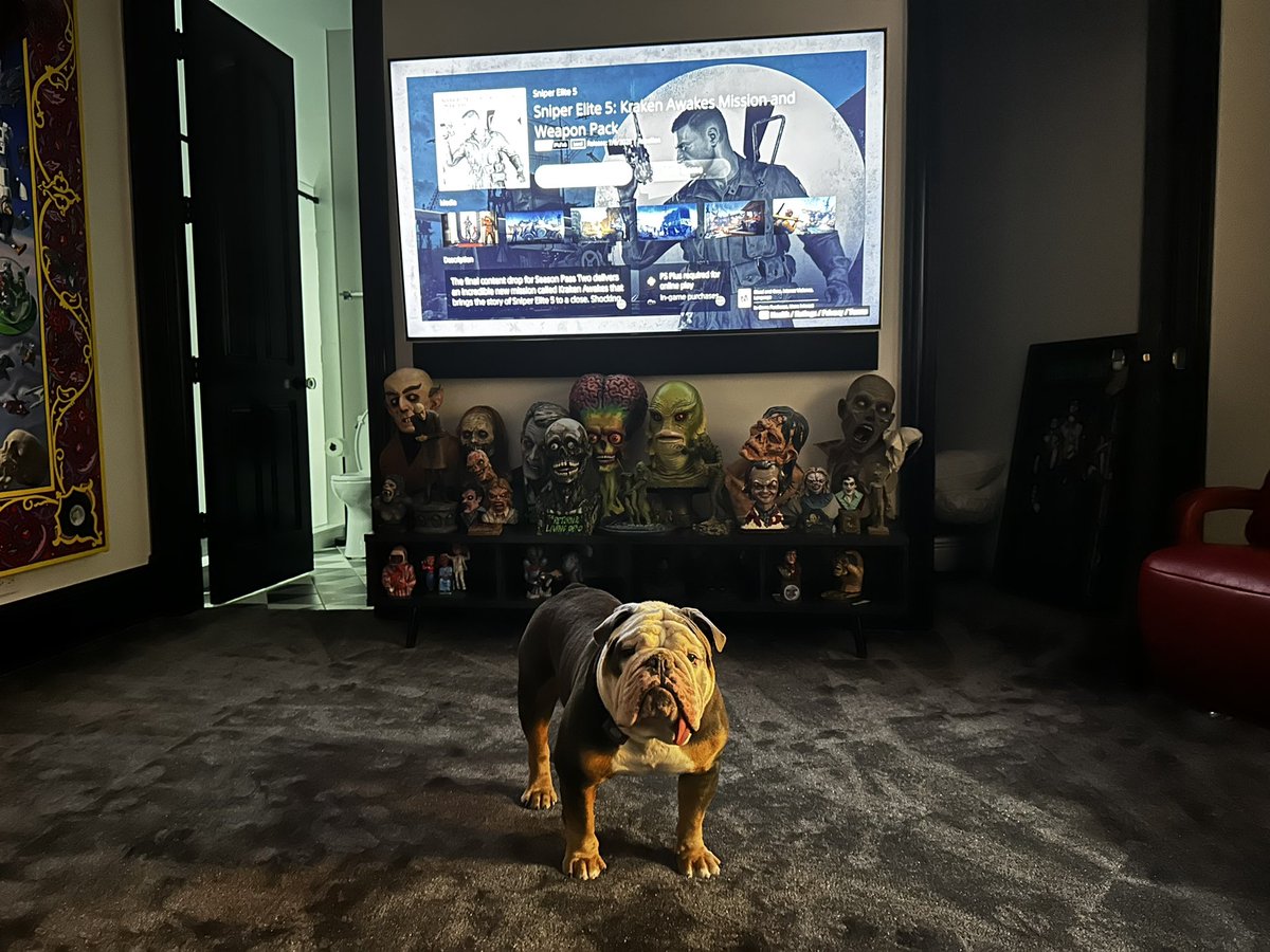 JeremyXWagner's tweet photo. Yo, Dad! The new mission of @SniperElite 5 is out & now & downloaded.
I wanna play!
What the fuck are you waiting for?
#Ripley #Wagner #EnglishBulldog #Bulldog #Dog #GameBuddy #GameRoom #SniperElite #SniperElite5 #Game #WWII #KrakenAwakes #Mission #NewMission https://t.co/Kset806YxL