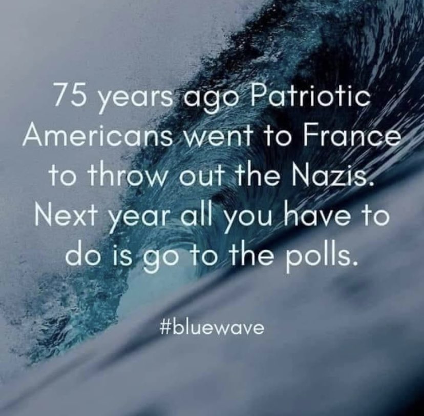 #VoteBlue2024 💙🇺🇸💙