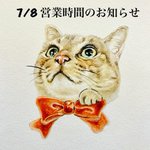 Photo by 猫雑貨 ねこあくしょん (@necoaction)