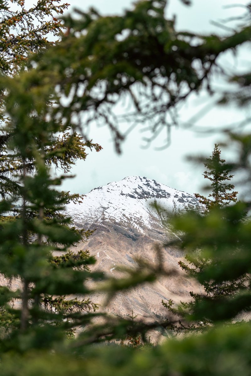 kitarphobia's tweet photo. Would definitely Peyto look at Peyto again https://t.co/8UhbipGnyc