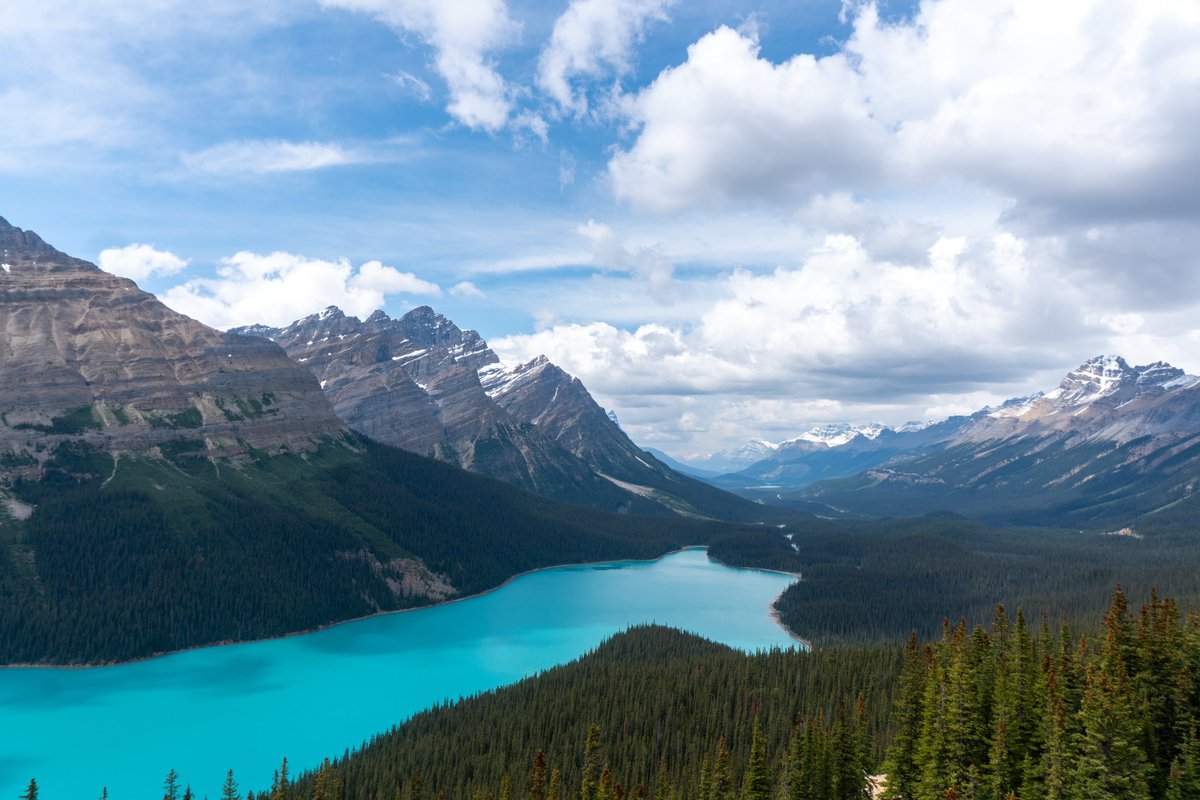 kitarphobia's tweet photo. Would definitely Peyto look at Peyto again https://t.co/8UhbipGnyc
