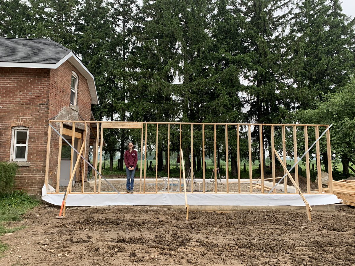 Backfill, pack, foam, level. Begin framing.  My lil pup is a good helper!  On our way!! #reno2023