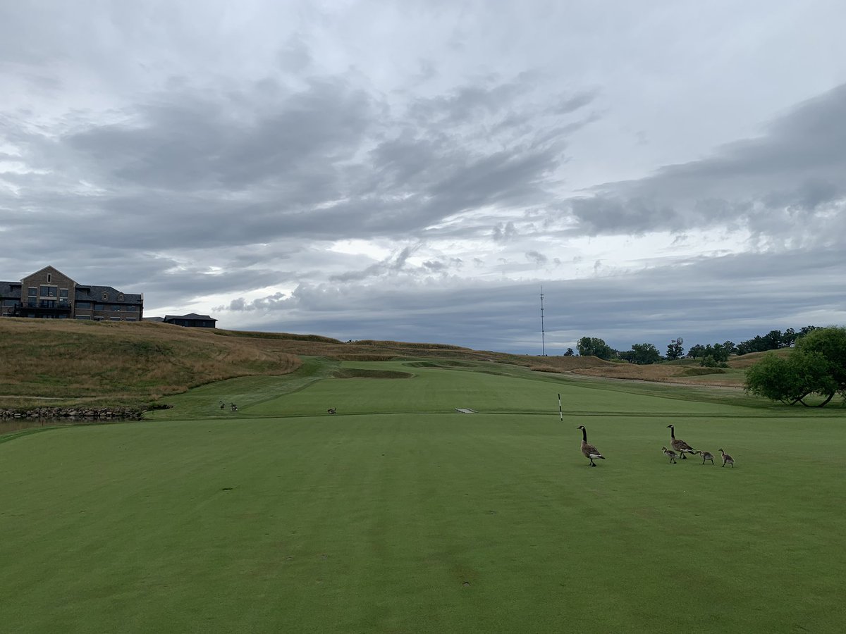 Kurt Everett tweet media