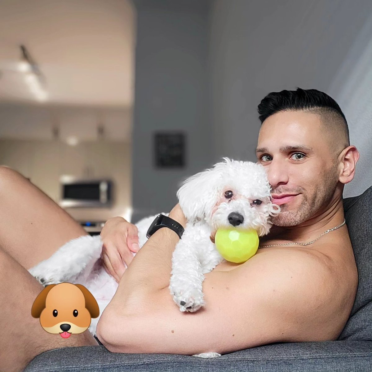 EFranco39's tweet photo. You're never really alone with a puppy's love. My happy place.  Sunlight,  couch, and Zoe #dudeswithdogs https://t.co/9i478E7YDL
